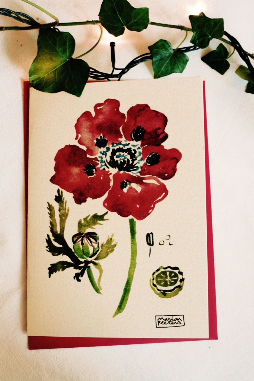 1#illustrationmarion peeters #cartesaquarelle#leverger#coquelicot