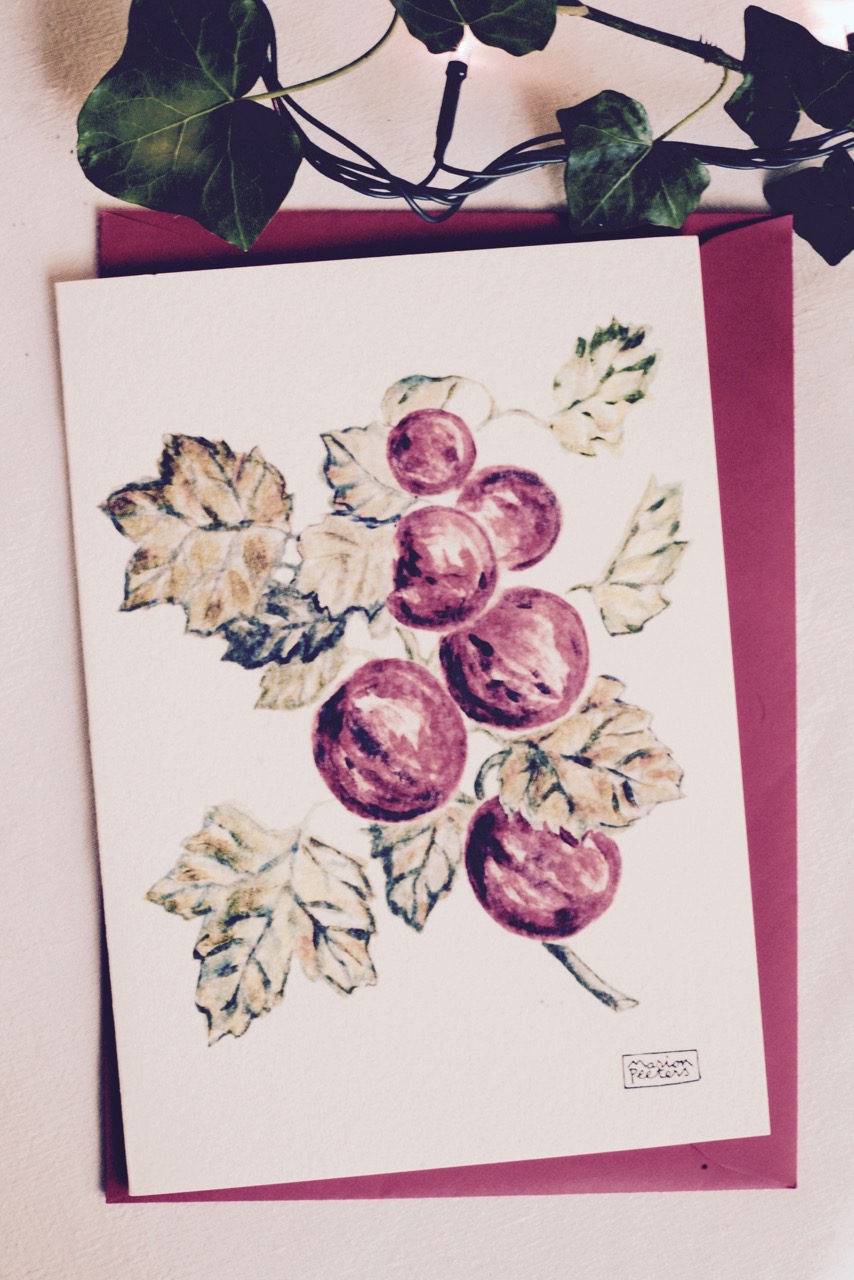 3#illustrationmarionpeeters #cartesaquarelle#leverger#groseille