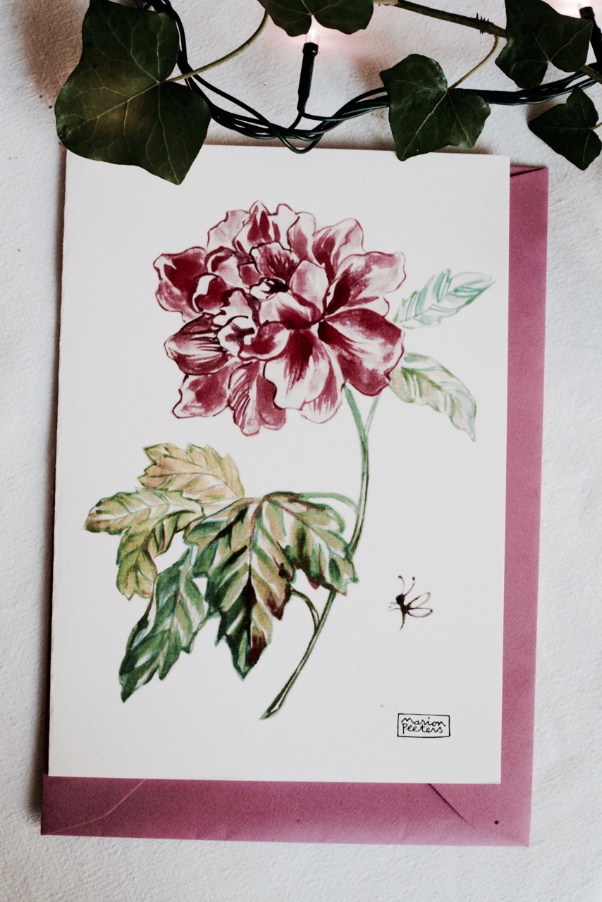 3#illustrationmarionpeeters #cartesaquarelle#leverger#pivoine