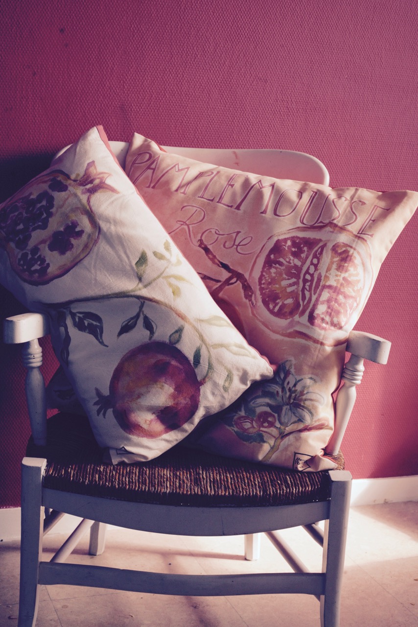 4-coussinpamplemousse