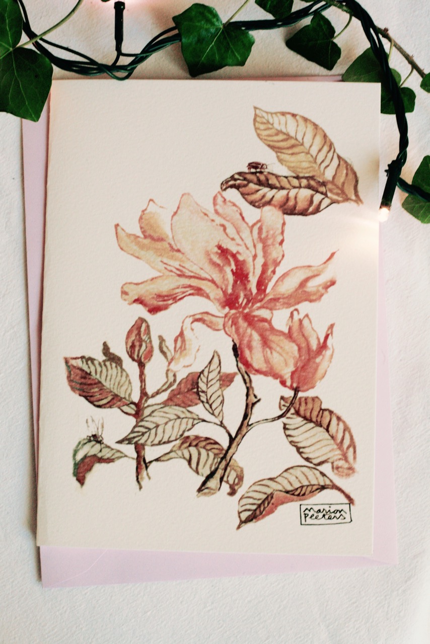 4#illustrationmarionpeeters #cartesaquarelle#leverger#magnoliadetail