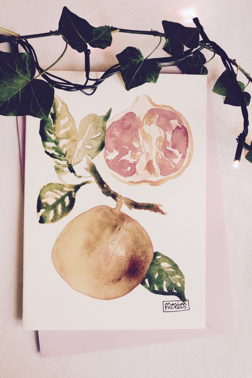 4#illustrationmarionpeeters #cartesaquarelle#leverger#pamplemousse