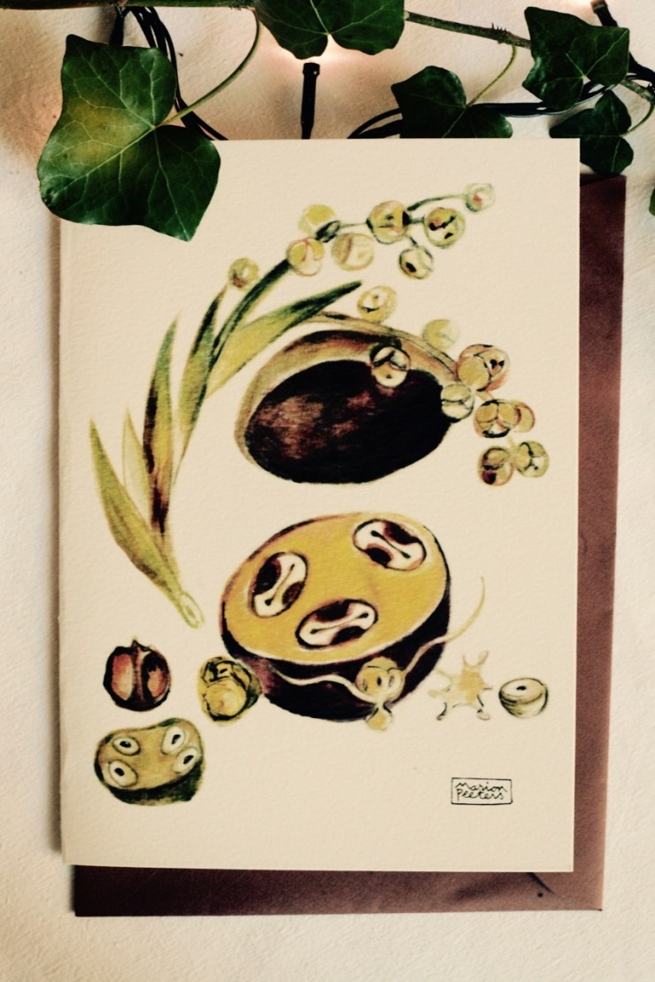 5#illustrationmarionpeeters #cartesaquarelle#jardinexotique#graine