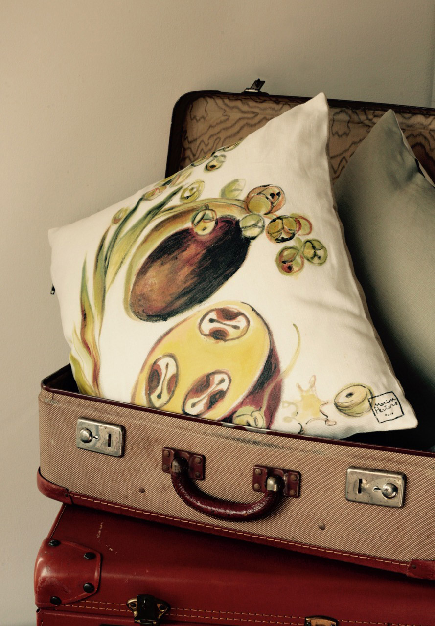 coussin graine valise