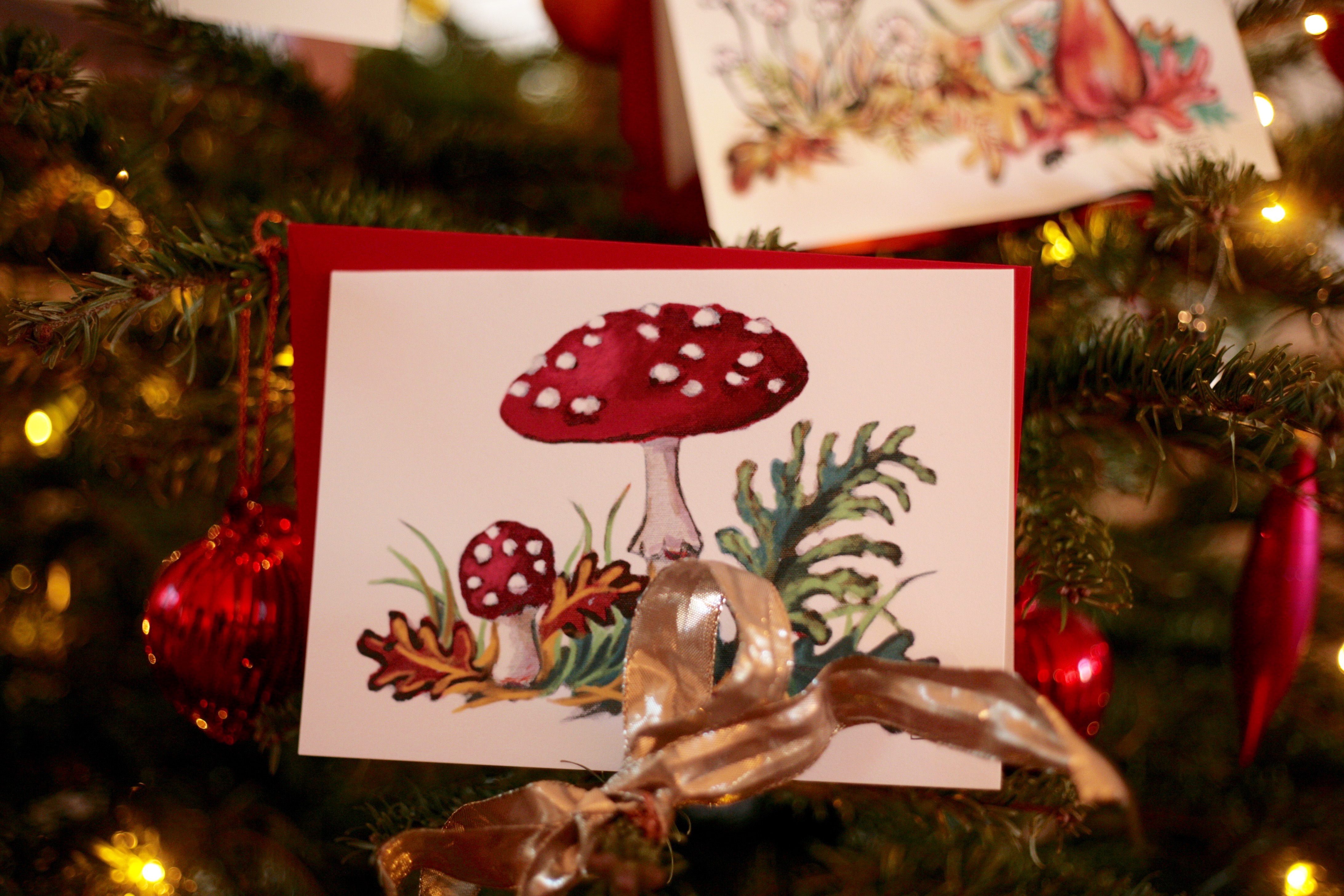 sous bois champignon2